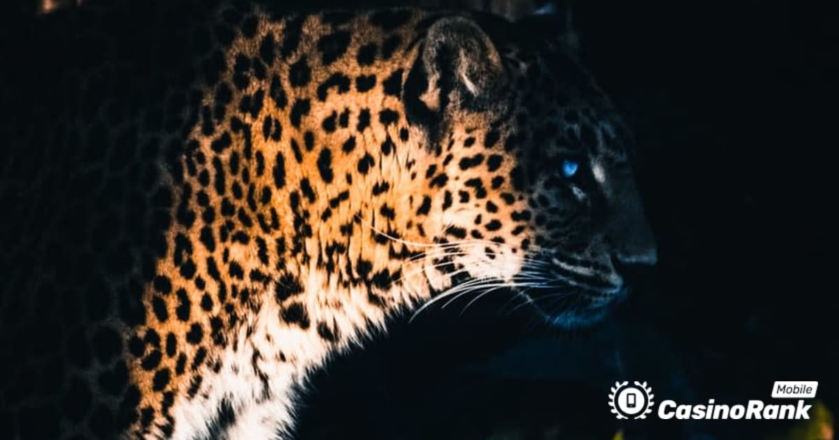 Az Yggdrasil Partners ReelPlay kiadja a Jaguar SuperWays-t Bad DingÃ³tÃ³l