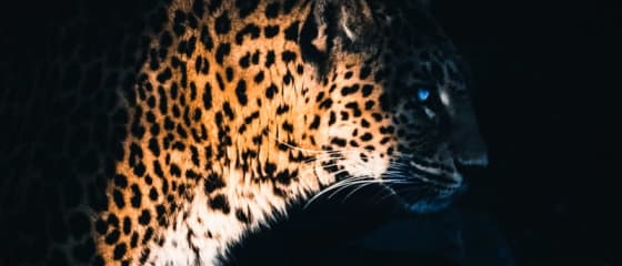 Az Yggdrasil Partners ReelPlay kiadja a Jaguar SuperWays-t Bad Dingótól